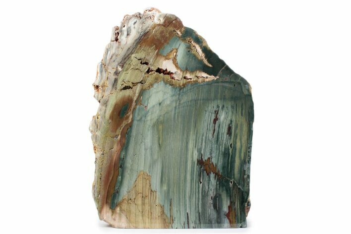 Freestanding Gary Green Jasper (Larsonite) Bog Wood - Oregon #377814